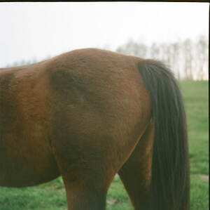 エミ(emmi) 2022-23年秋冬ウィメンズコレクション  - 写真10