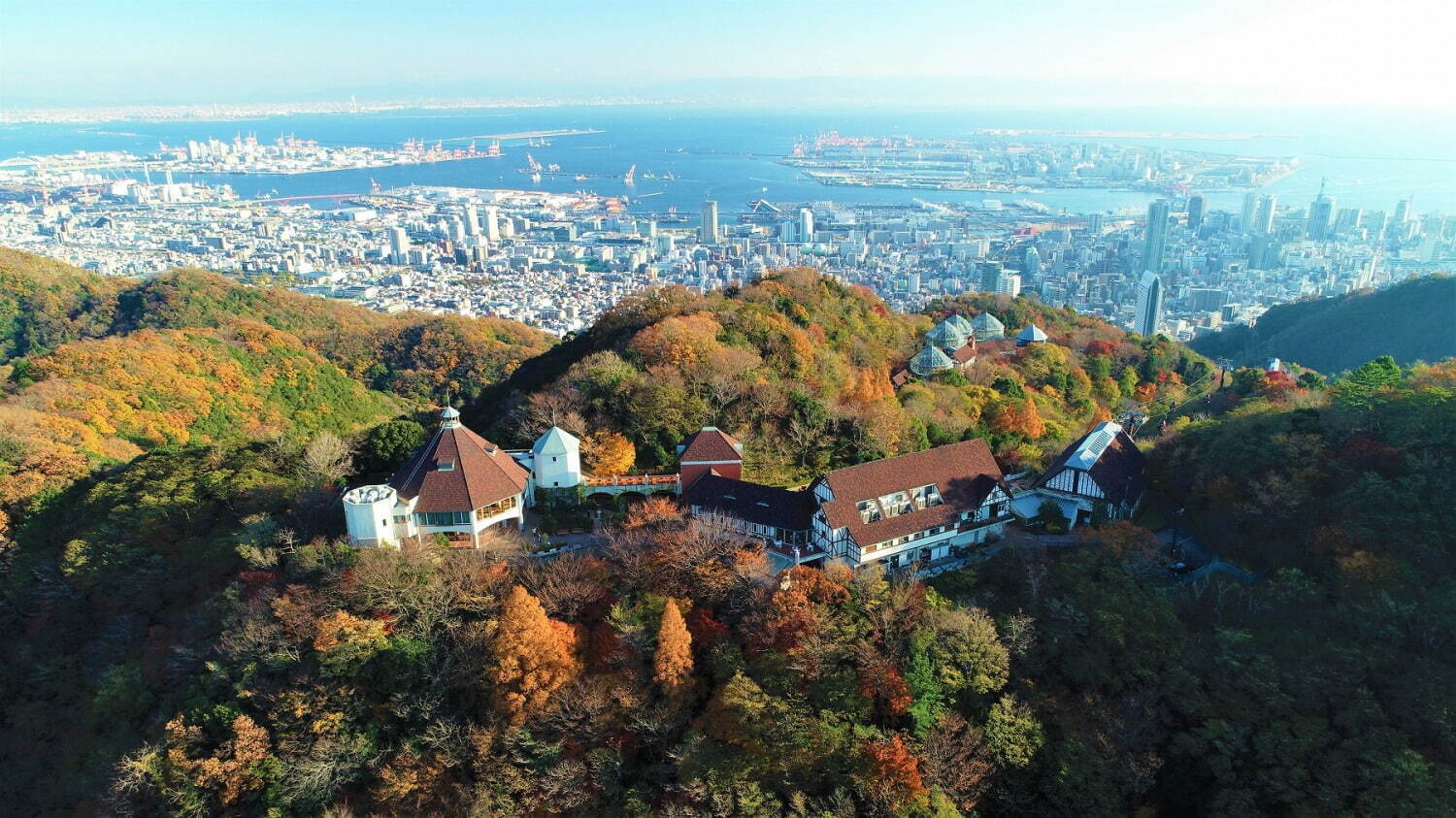 神戸布引ハーブ園「紅葉」が見頃に、約500本のもみじと共に秋花＆ハーブを鑑賞｜写真8