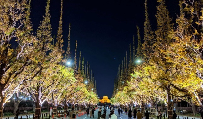 東京・神宮外苑イチョウ並木をライトアップ、紅葉シーズンに合わせて｜写真1
