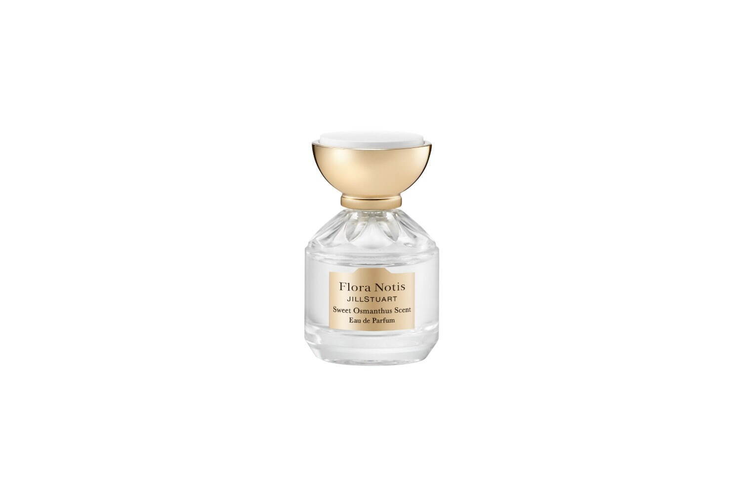 フローラノーティス ジルスチュアート(Flora Notis JILL STUART), ル ショコラ ドゥ アッシュ(LE CHOCOLAT DE H) チョコレートコスモス｜写真14