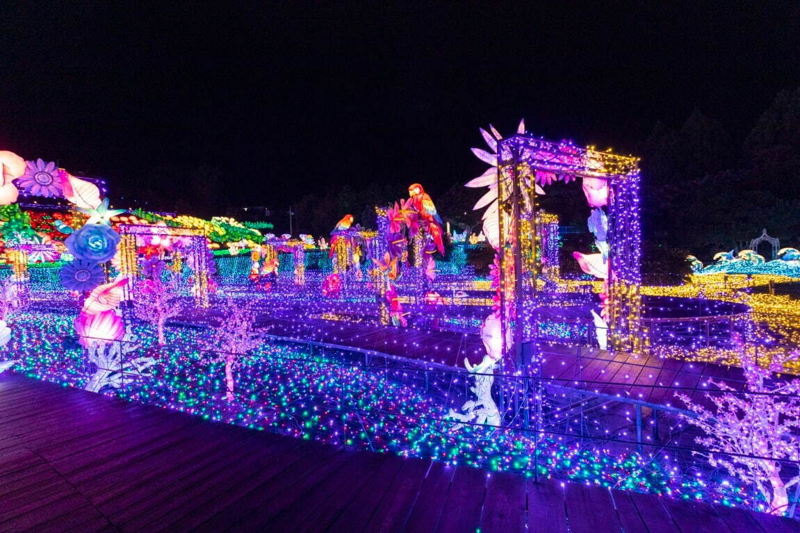 「伊豆高原グランイルミ」静岡・伊豆ぐらんぱる公園で、鮮やかな光の空間で“お宝さがし”｜写真8