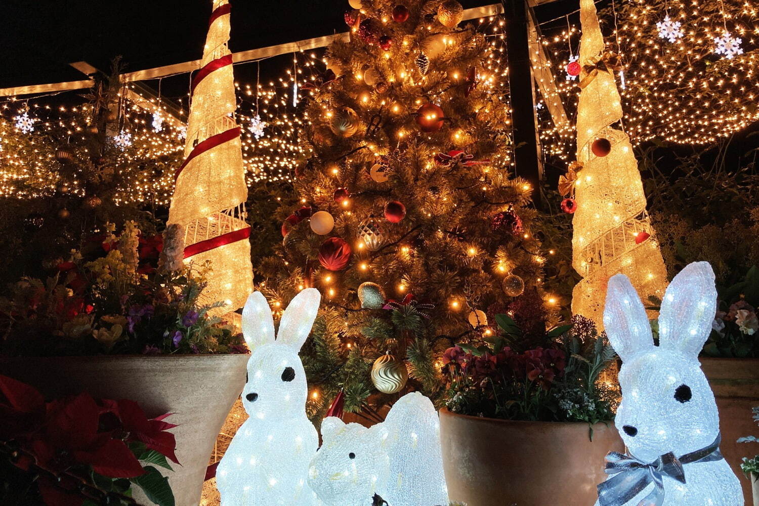 「練馬区立 四季の香ローズガーデン」のクリスマスイルミネーション、バラ園を包み込むあたたかな光｜写真2