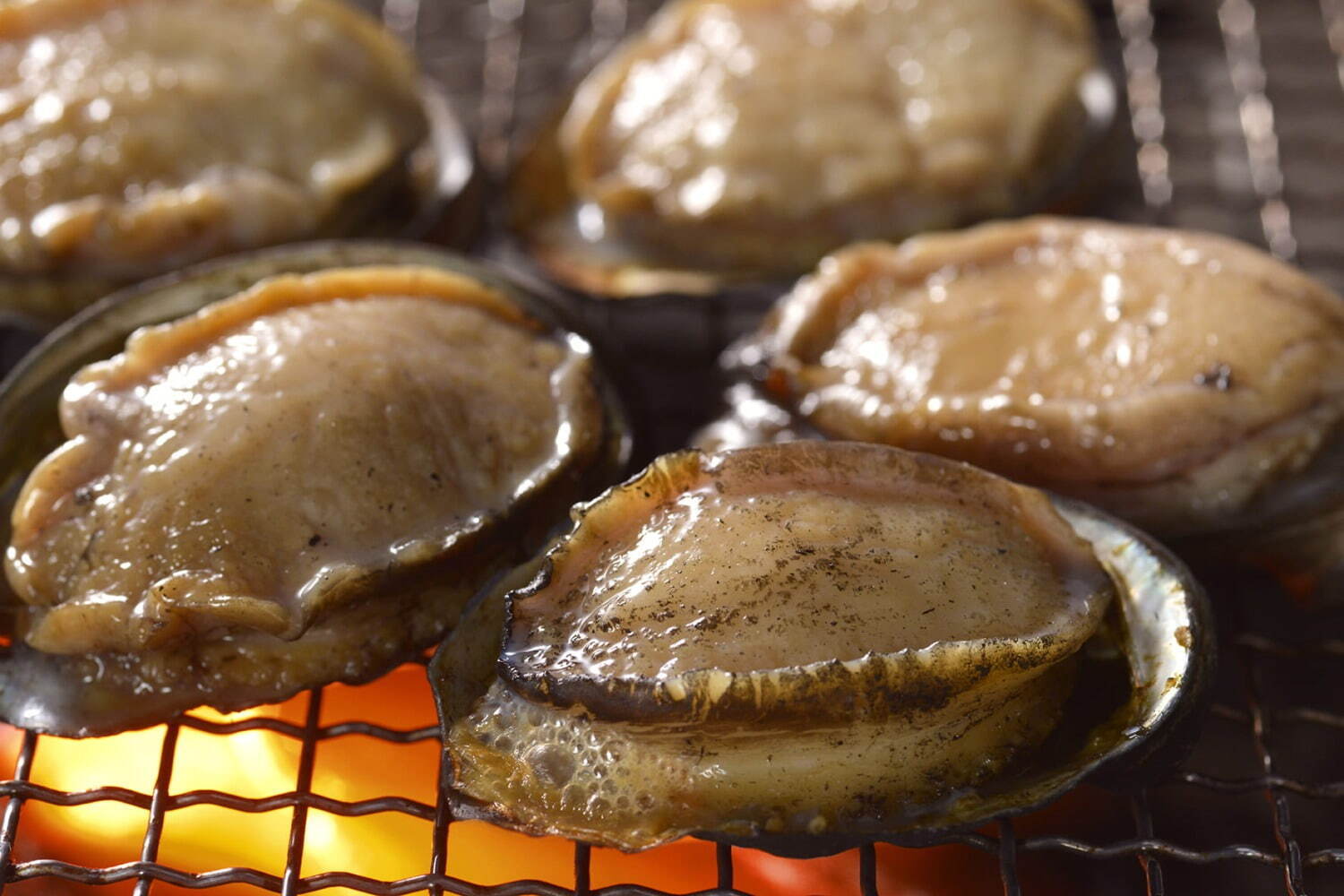 「焼き蝦夷あわび」