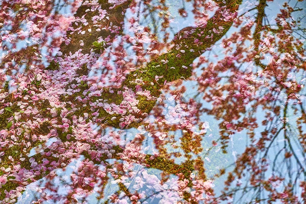 芸術家｜佐藤時啓の個展が八戸市美術館で - 写真装置の原理に着想し、八戸で制作した作品を展示