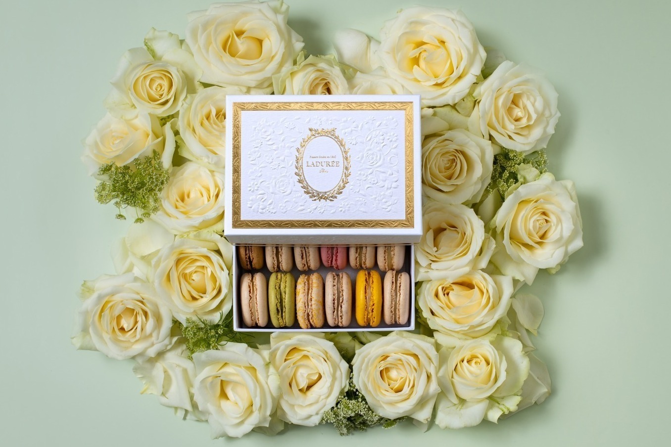 ラデュレ“バラの装飾”を施した限定マカロンボックス「リュ・ロワイヤル」パリ本店にオマージュ