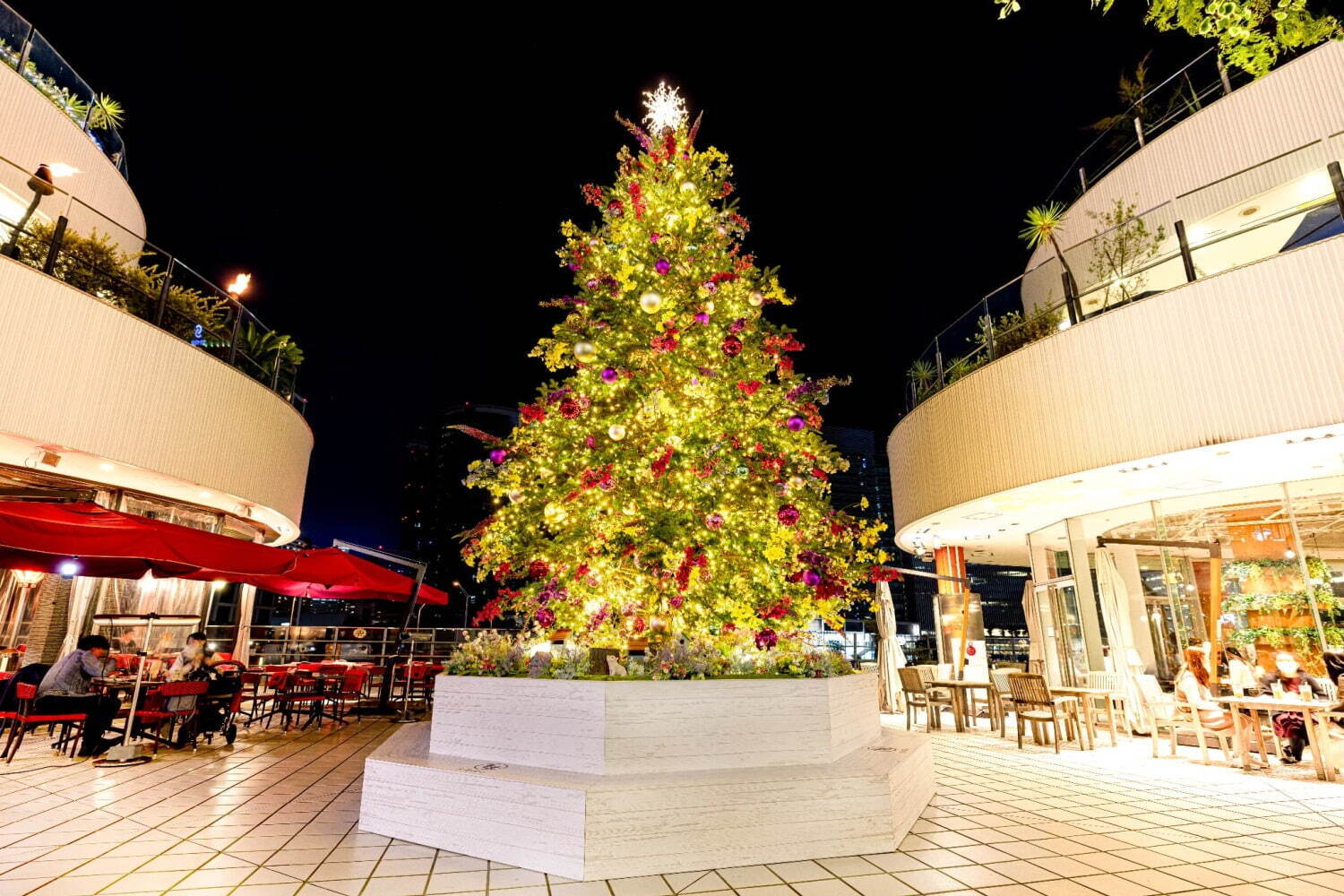 横浜ベイクォーター”花々が輝く”クリスマスイルミネーション、高さ8mの巨大ツリーも｜写真4