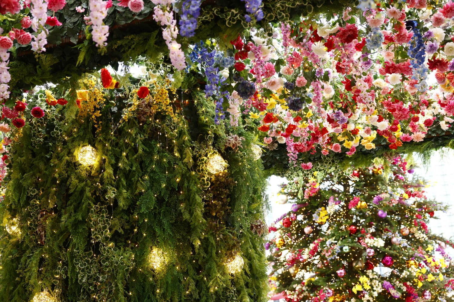 横浜ベイクォーター”花々が輝く”クリスマスイルミネーション、高さ8mの巨大ツリーも｜写真2