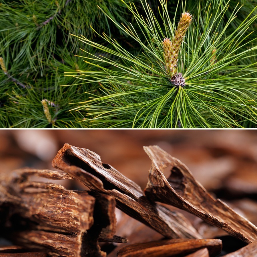 ワフィト22年冬ボディケア、和ハーブ×天然製油9種配合の“しっとり”ハンドウォッシュ｜写真2