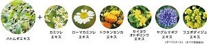 『コジコジ』限定デザインの大容量化粧水、ボタニカルスキンケアブランド「マジアボタニカ」から｜写真4