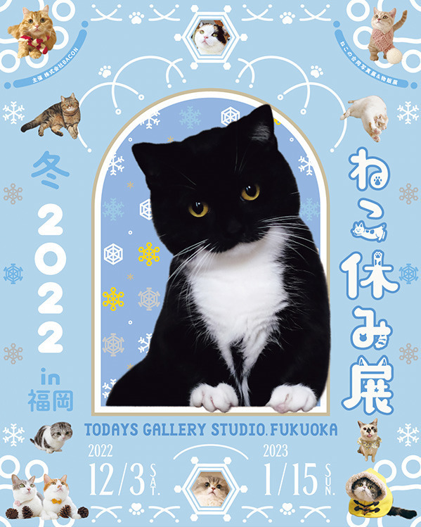 ねこの合同写真展＆物販展「ねこ休み展 冬 2022」福岡で、スター猫新作＆限定グッズ販売も｜写真18