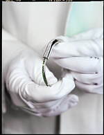 ティファニー×ダニエル・アーシャム、青々とした“ツァボライト”の限定バングル＆スカルプチャー｜写真6