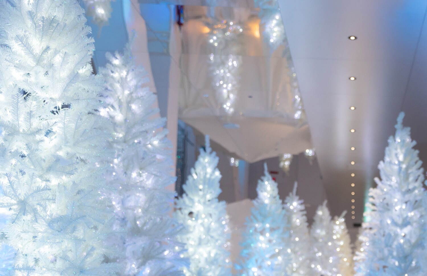梅田スカイビルのクリスマスイベント、空中庭園に白いツリー輝く「天空の白い森」幻想的なライトアップも｜写真3