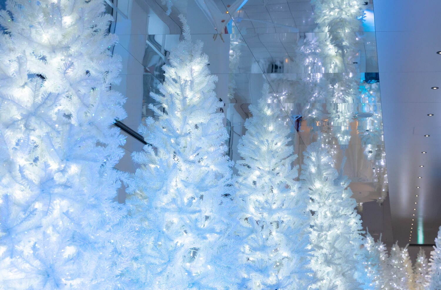 梅田スカイビルのクリスマスイベント、空中庭園に白いツリー輝く「天空の白い森」幻想的なライトアップも｜写真2