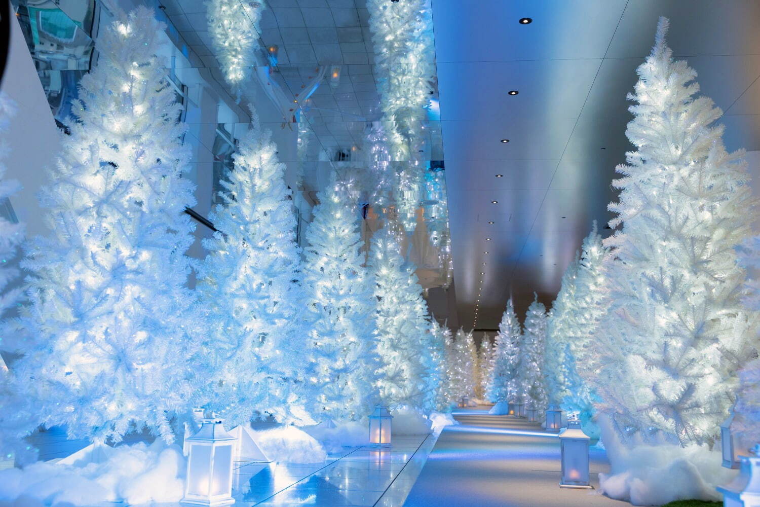 梅田スカイビルのクリスマスイベント、空中庭園に白いツリー輝く「天空の白い森」幻想的なライトアップも｜写真1
