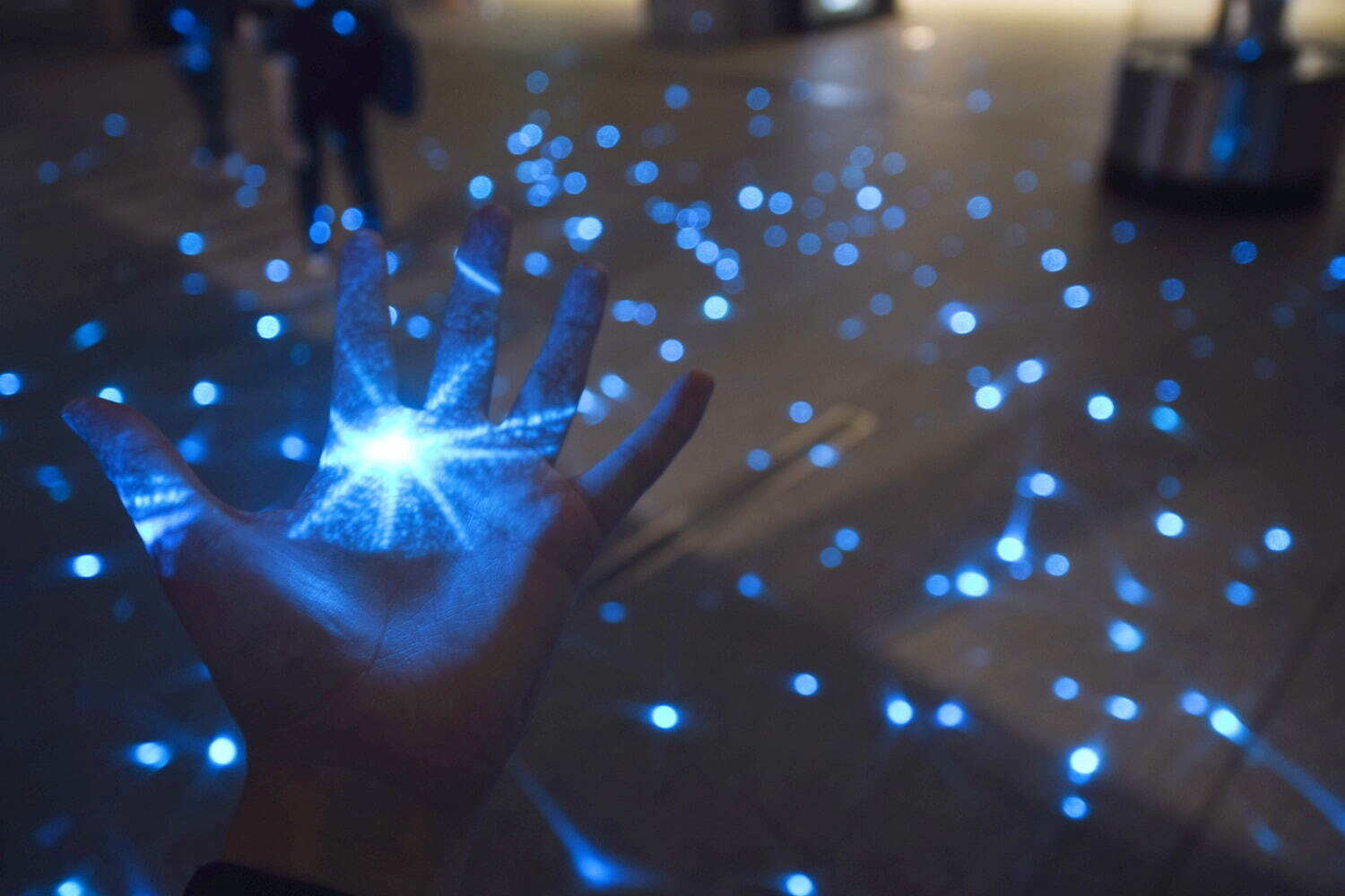 「品川シーズンテラス イルミネーション 2022」“青い結晶”テーマの幻想的な明かりが点灯｜写真3