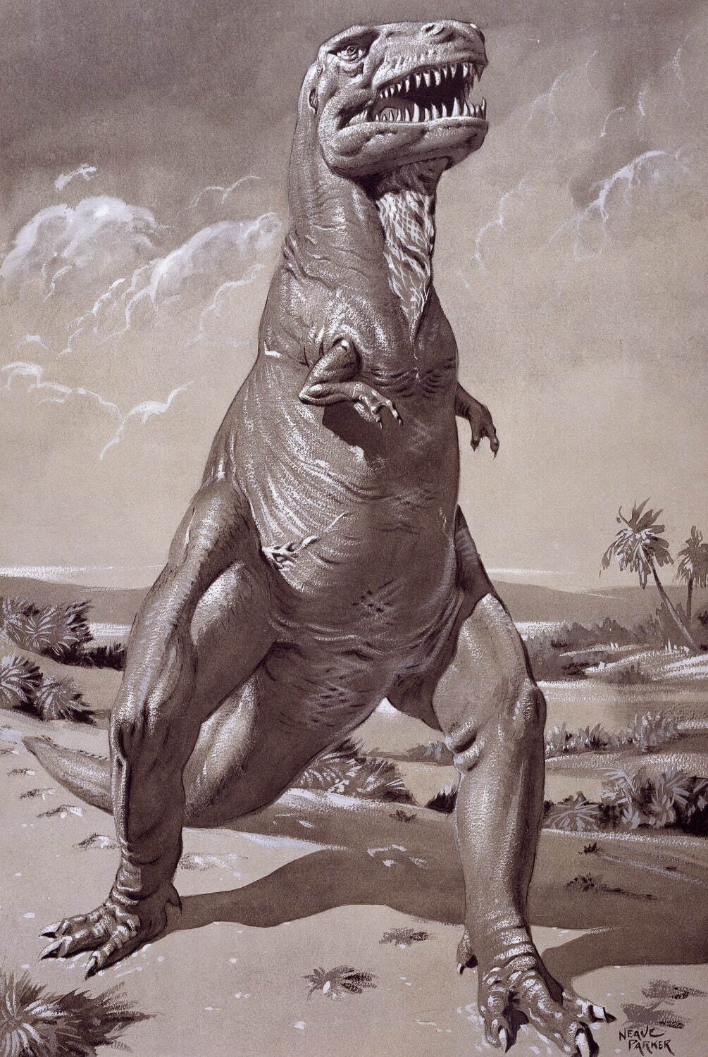ニーヴ・パーカー
《 ティラノサウルス・レックス 》 1950年代 グアッシュ、インク・紙 54×37.5cm ロンドン自然史博物館