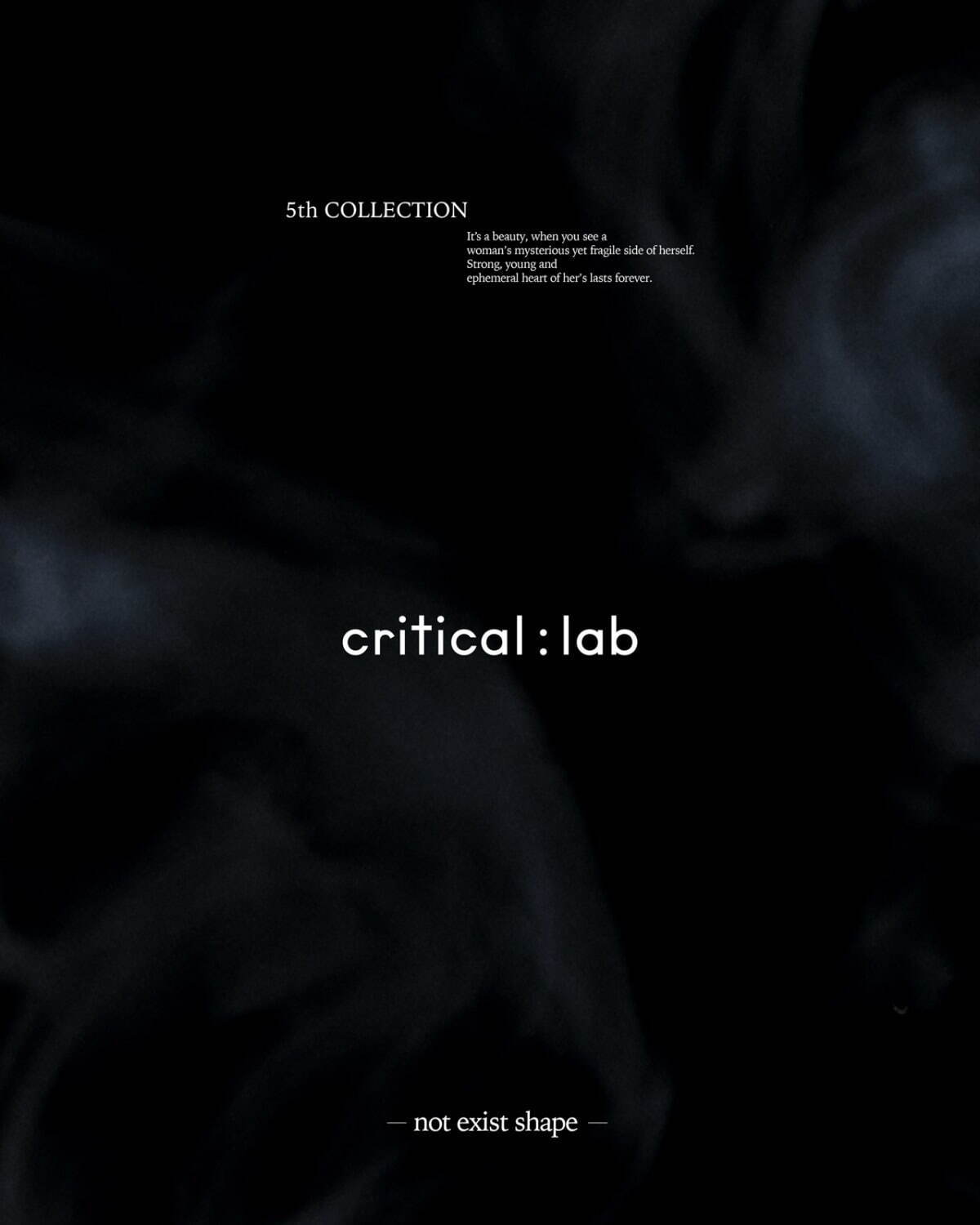 クリティカルラボ(critical：lab) 2022-23年秋冬ウィメンズコレクション  - 写真24