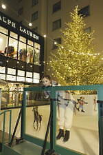 ラルフ ローレン(Ralph Lauren) ラルフズ コーヒー｜写真7