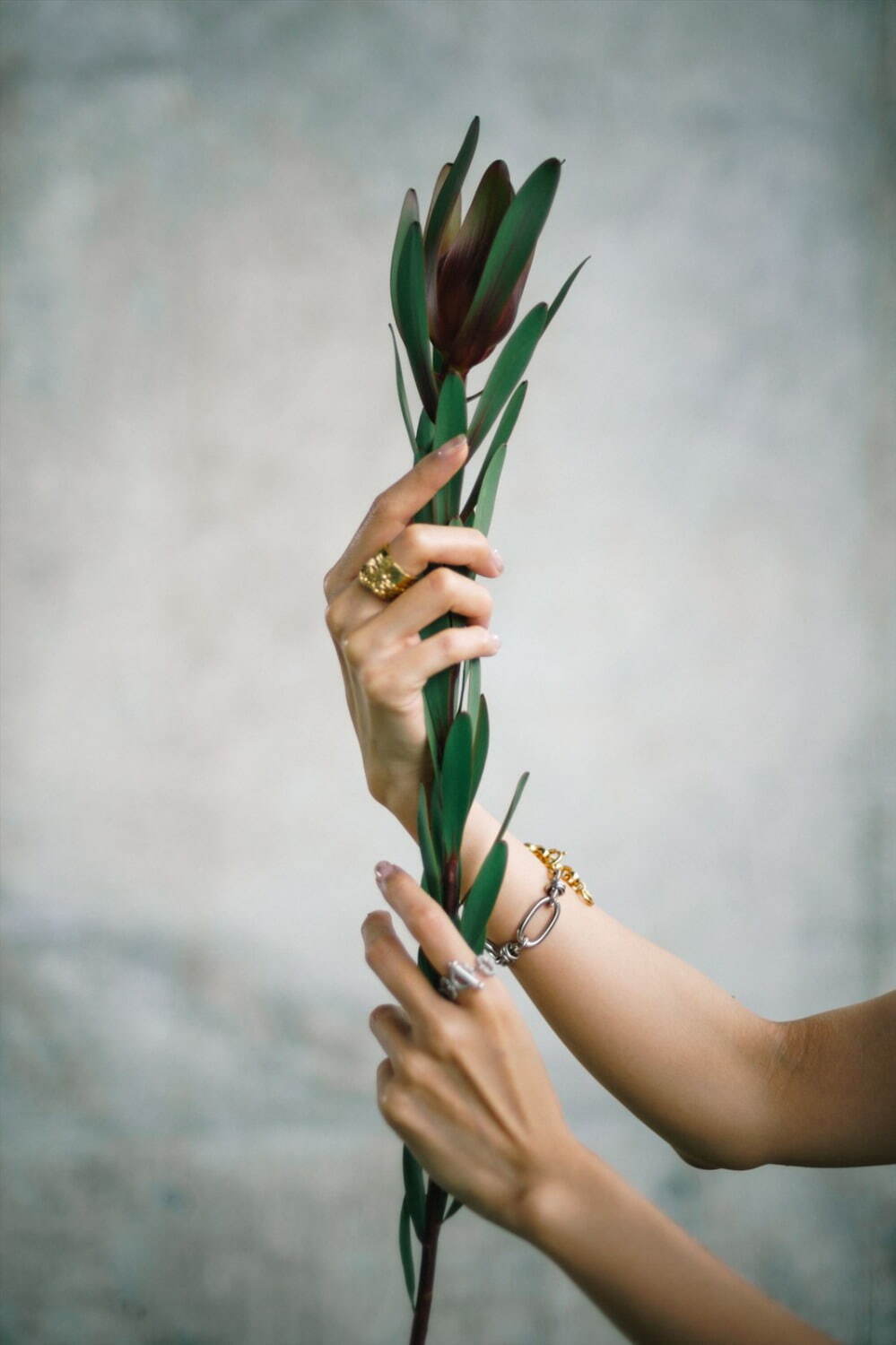 ソムニウム(somnium) 2022-23年秋冬ウィメンズコレクション  - 写真6