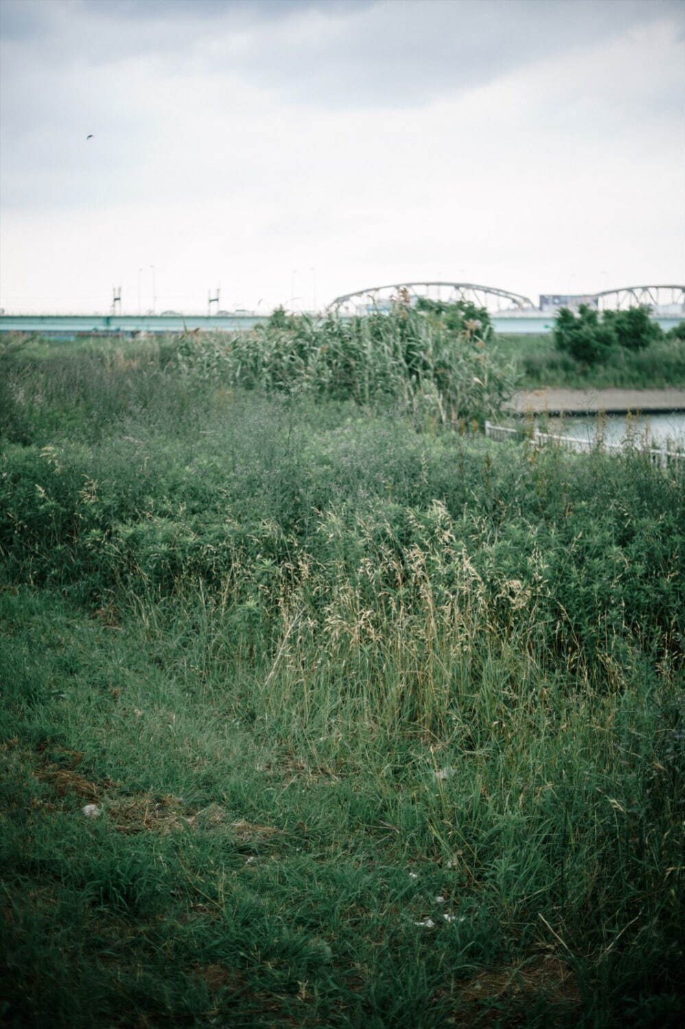 ソムニウム(somnium) 2022-23年秋冬ウィメンズコレクション  - 写真69