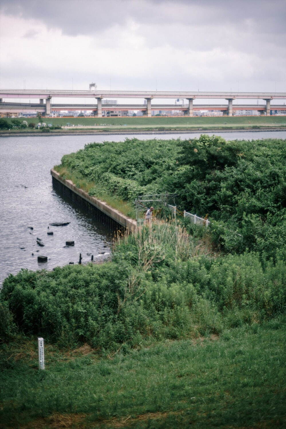 ソムニウム(somnium) 2022-23年秋冬ウィメンズコレクション  - 写真72