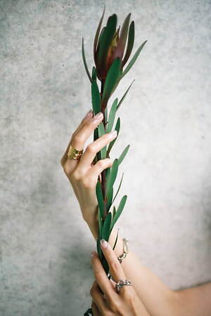 ソムニウム(somnium) 2022-23年秋冬ウィメンズコレクション  - 写真7