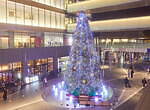 二子玉川ライズのクリスマスツリー＆イルミネーション、“水辺の国のクリスマス”を表現｜写真5