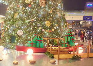 二子玉川ライズのクリスマスツリー＆イルミネーション、“水辺の国のクリスマス”を表現｜写真3