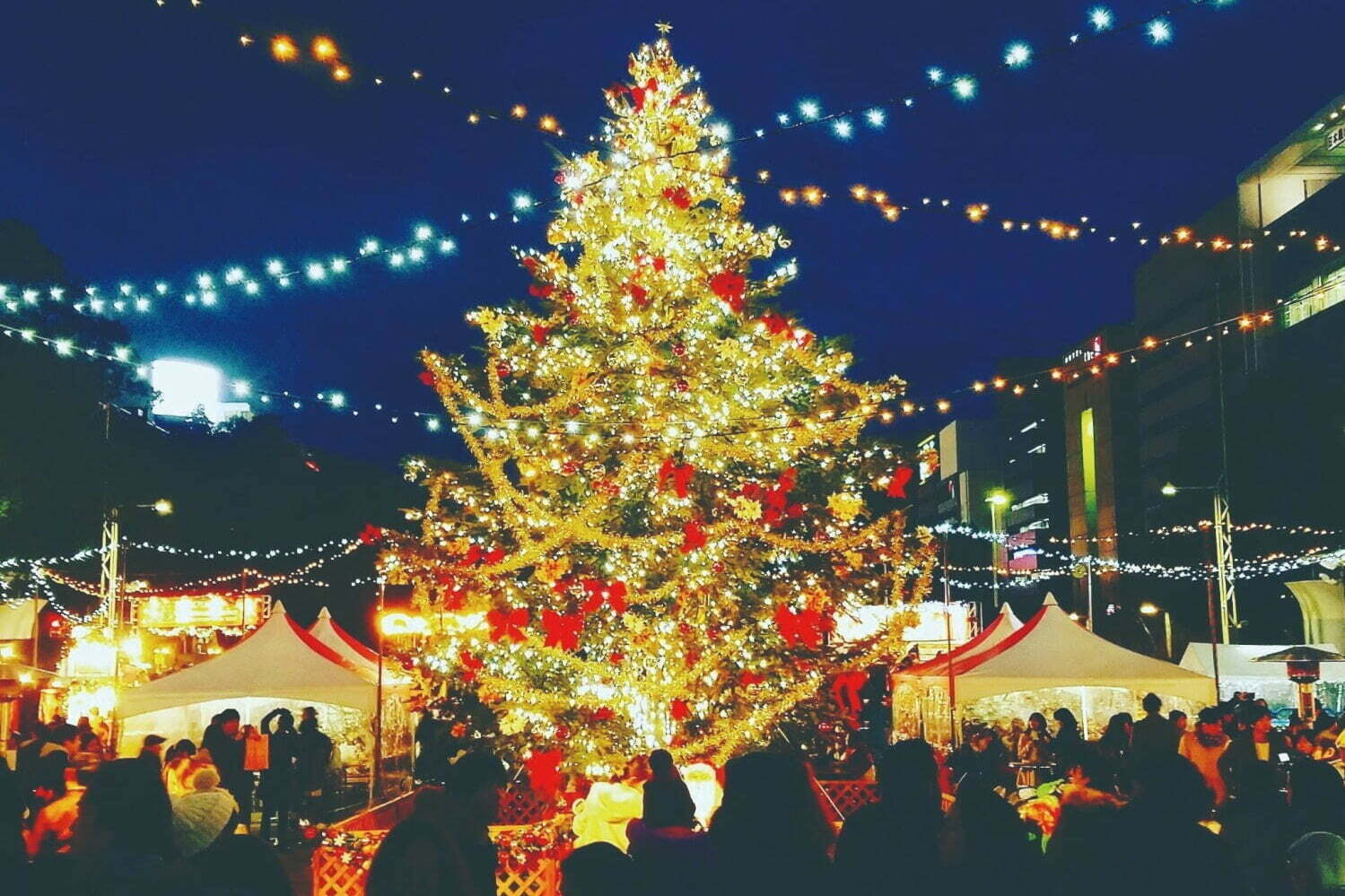 名古屋クリスマスマーケット2022」“巨大クリスマスツリー”のもと