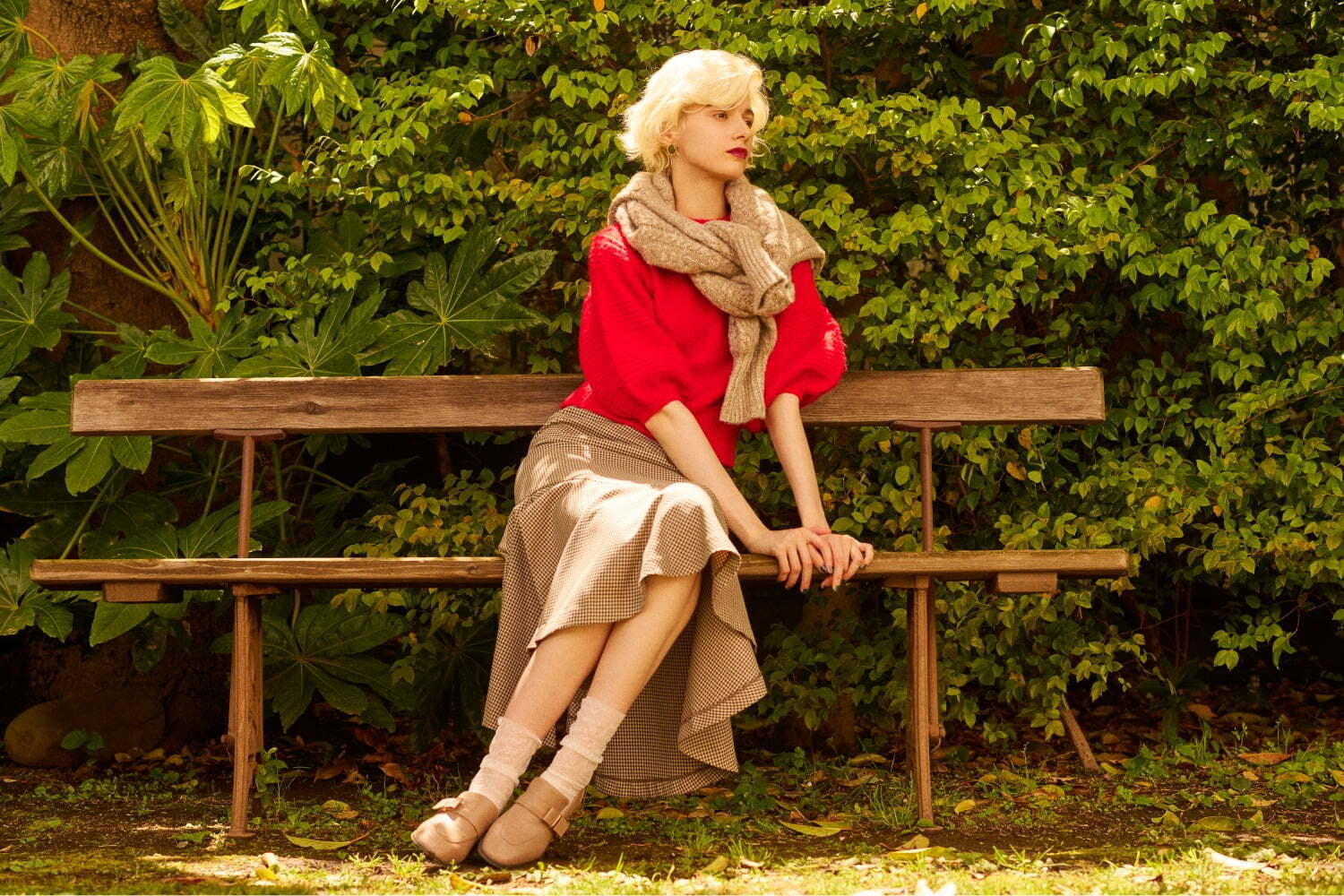 dazzlin 2022-23AW Collection