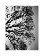 ゴールドウイン×キャプテン サンシャイン、コラボ初となる2種類のセットアップジャケット＆パンツ｜写真50