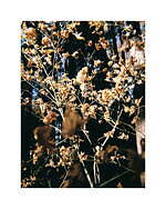 ゴールドウイン×キャプテン サンシャイン、コラボ初となる2種類のセットアップジャケット＆パンツ｜写真60