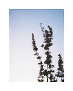 ゴールドウイン×キャプテン サンシャイン、コラボ初となる2種類のセットアップジャケット＆パンツ｜写真56