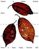 ゴールドウイン×キャプテン サンシャイン、コラボ初となる2種類のセットアップジャケット＆パンツ｜写真67