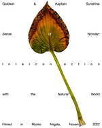 ゴールドウイン×キャプテン サンシャイン、コラボ初となる2種類のセットアップジャケット＆パンツ｜写真66