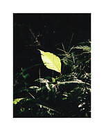 ゴールドウイン×キャプテン サンシャイン、コラボ初となる2種類のセットアップジャケット＆パンツ｜写真52