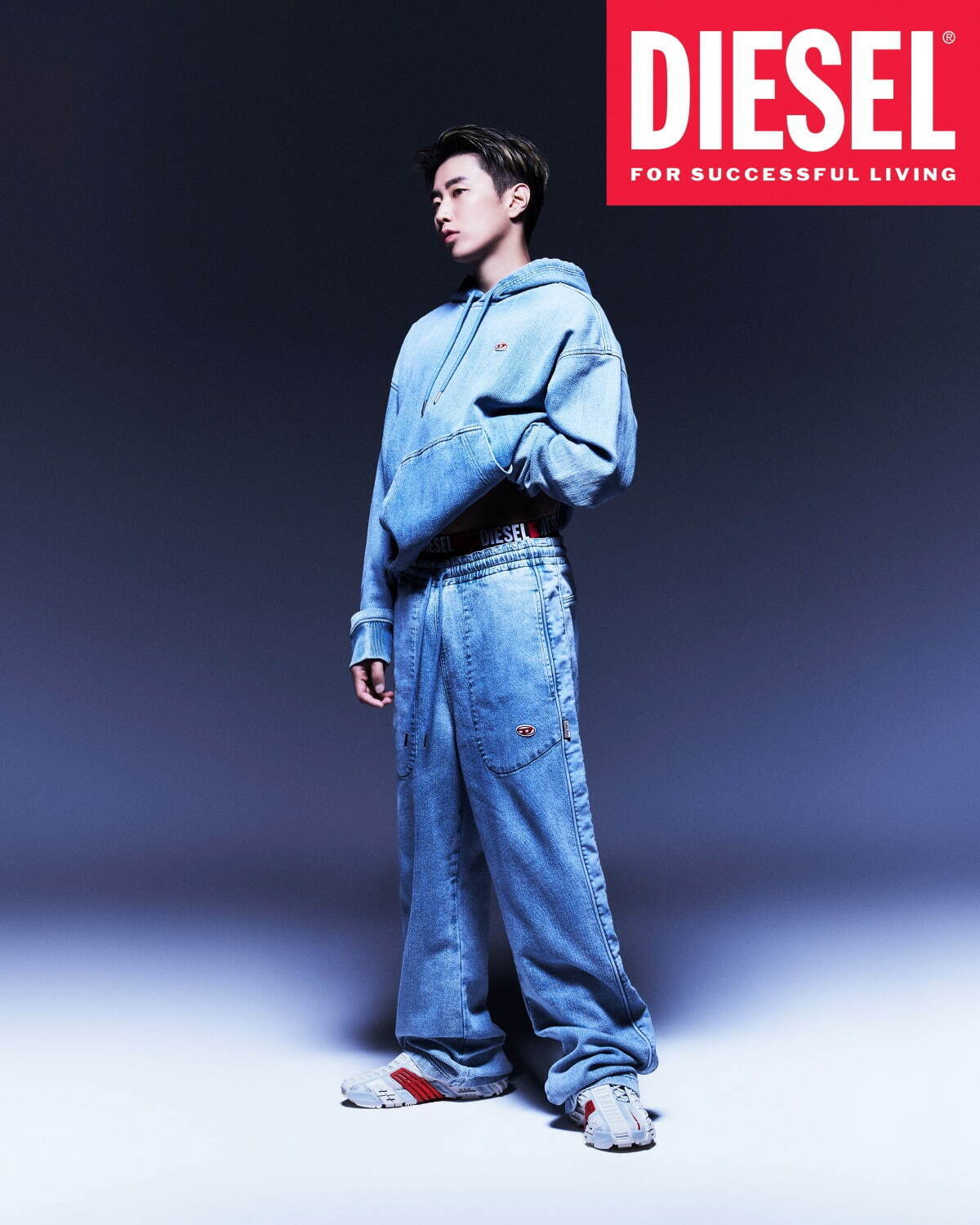 DIESEL セットアップ