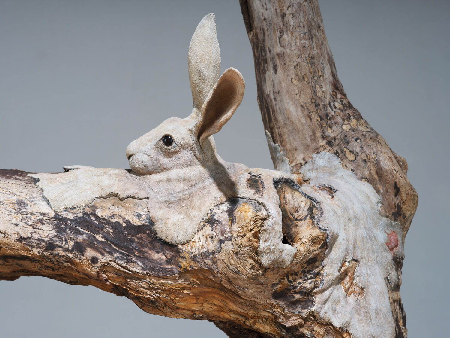 東影智裕《侵食I》2013年 令和3年度 大和卓司氏遺贈記念収蔵