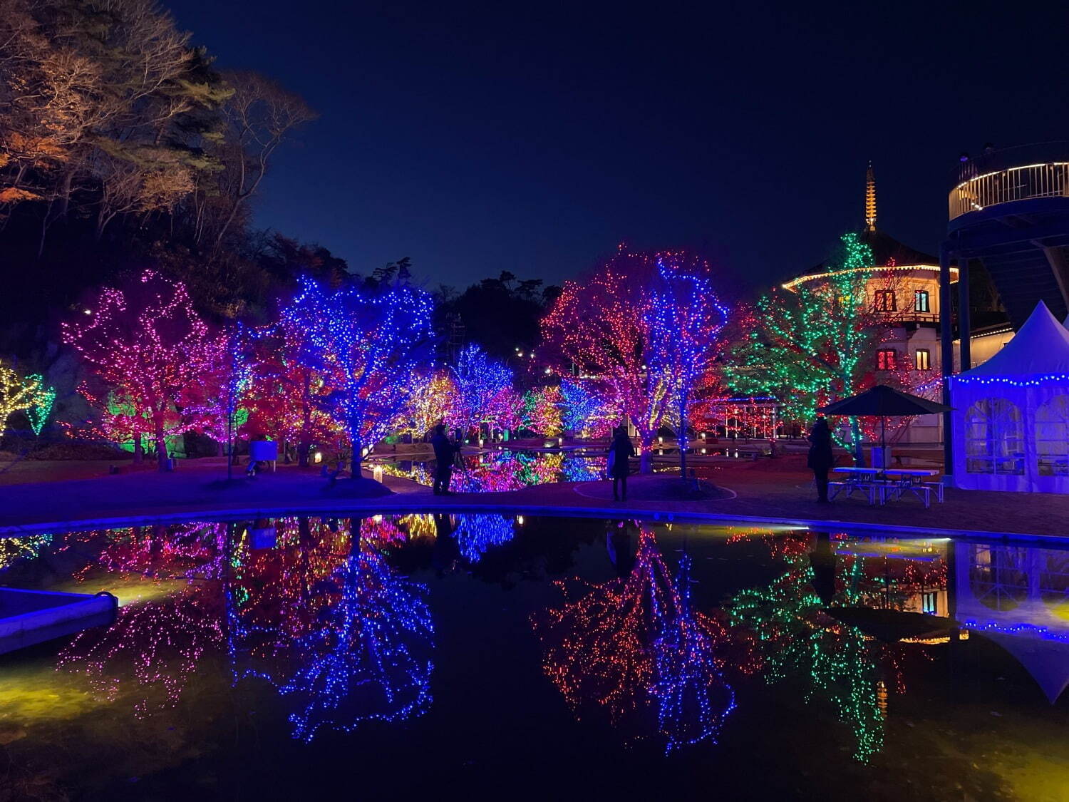 宮城・松島離宮のイルミネーション「2023 SENDAI 松島ハーバーライト」7色の光でライトアップ｜写真4