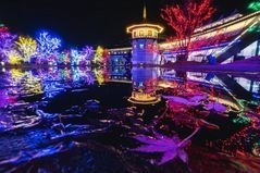 宮城・松島離宮のイルミネーション「2023 SENDAI 松島ハーバーライト」7色の光でライトアップ｜写真5