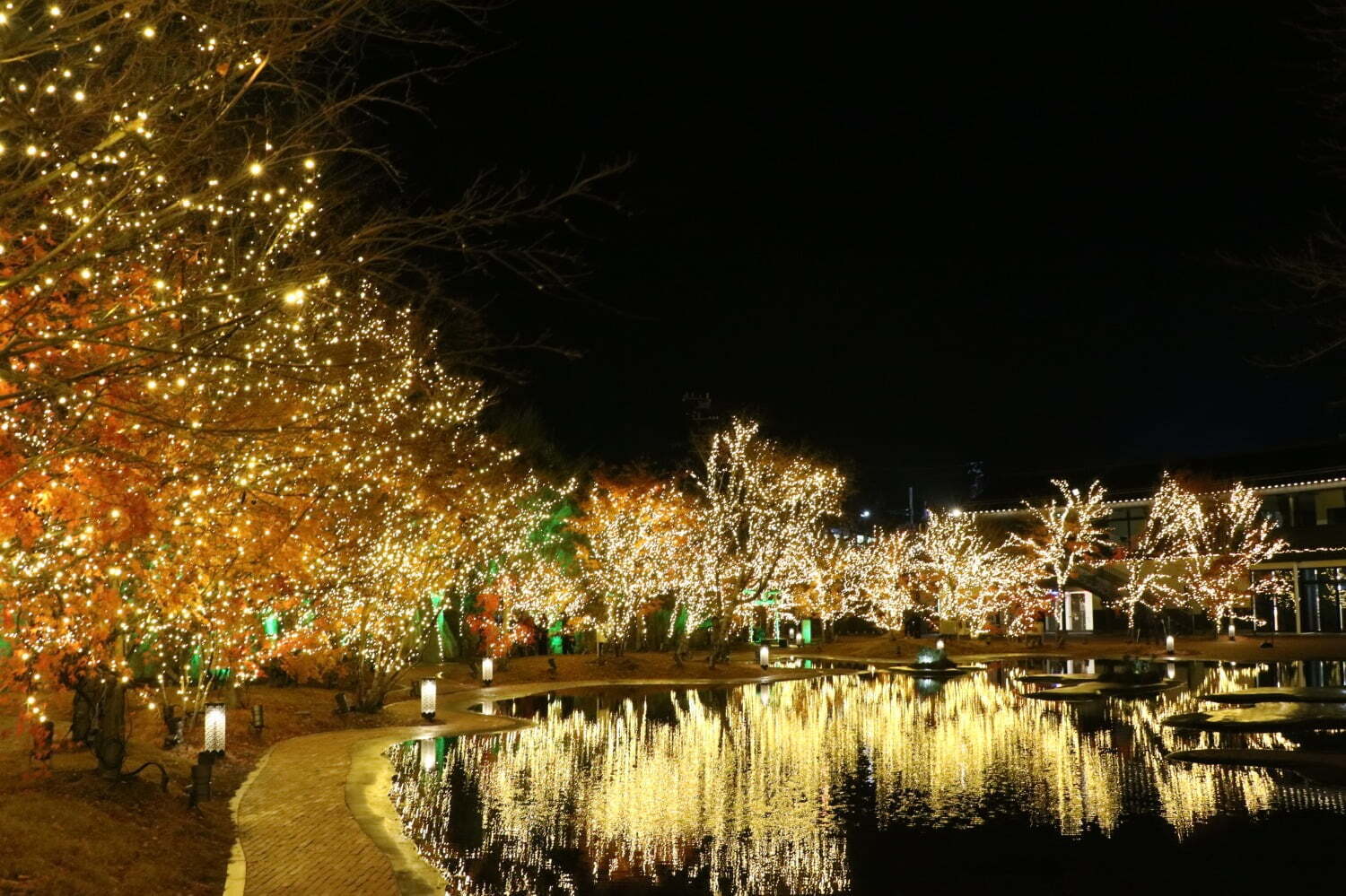 庭園｜宮城・松島離宮のイルミネーション「2023 SENDAI 松島ハーバーライト」7色の光でライトアップ