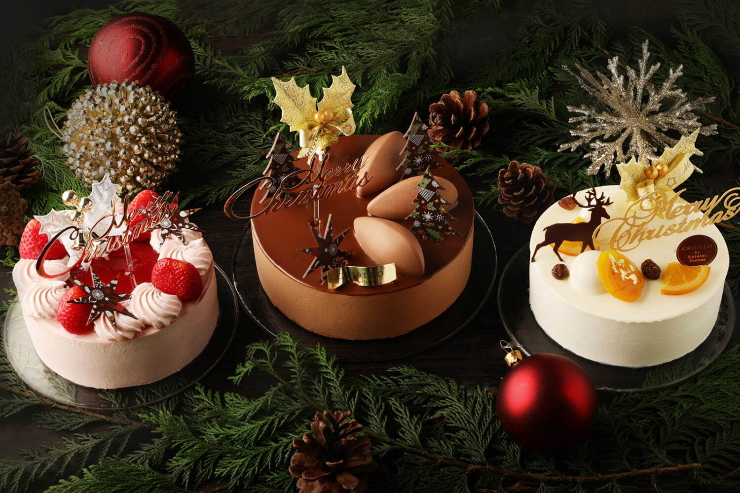 クリオロの2022年クリスマスケーキ、予約不要の濃厚チョコケーキや“シュトーレン”風ケーキ｜写真1