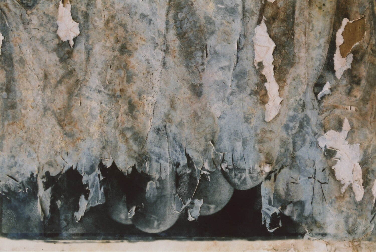 石内都《The Drowned#2》2020年
Courtesy of The Third Gallery Aya
© Ishiuchi Miyako