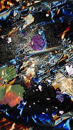 「KYOTOGRAPHIE 京都国際写真祭 2023」二条城など歴史建造物で写真展、国内外作家が集結｜写真8