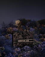 ディオール(DIOR) ディオール ブックトート｜写真21