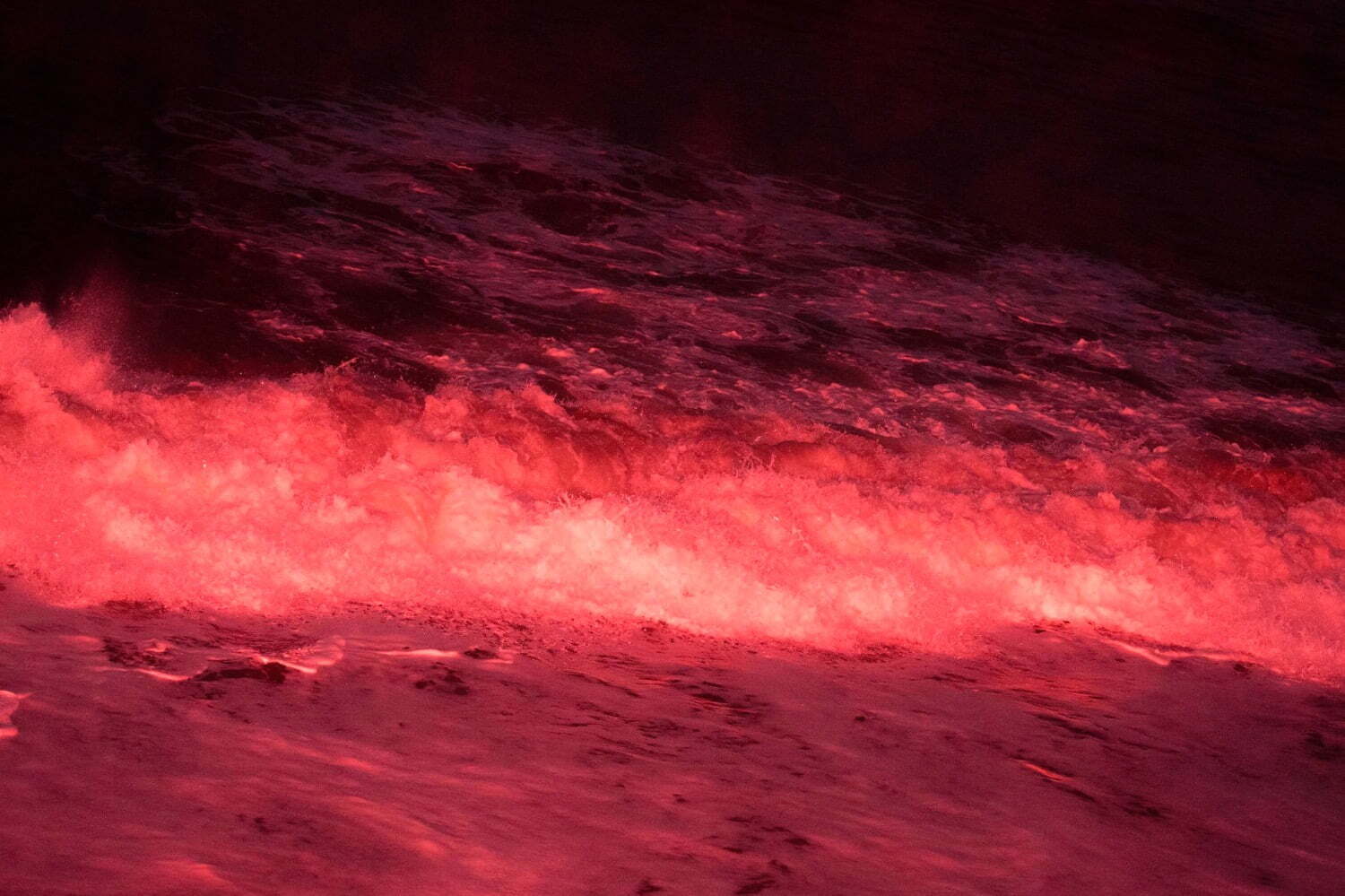 志賀理江子・竹内公太の展覧会が東京で - 震災後の経験や風船爆弾にまつわる新作を中心に展示