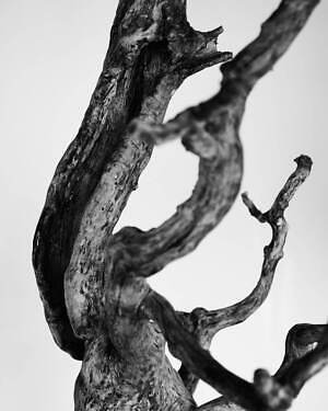 ミーンズワイル(meanswhile) 2023年春夏メンズコレクション  - 写真22