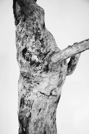 ミーンズワイル(meanswhile) 2023年春夏メンズコレクション  - 写真23