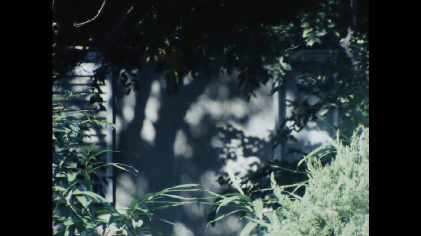 出光真子《たわむれときまぐれと》1984年