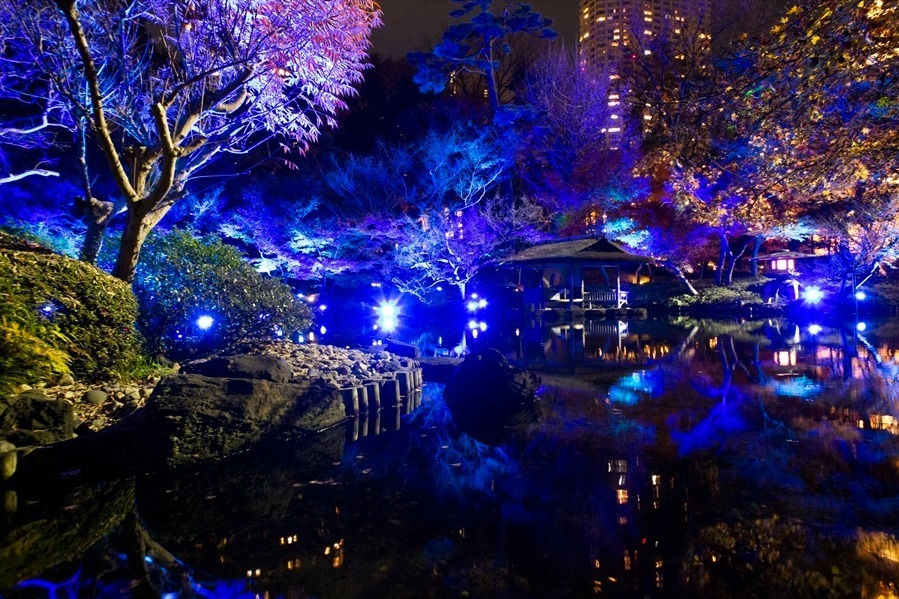 東京・白金台「八芳園」“青一色”に染まるライトアップイベント、日本酒を嗜むバーも｜写真1
